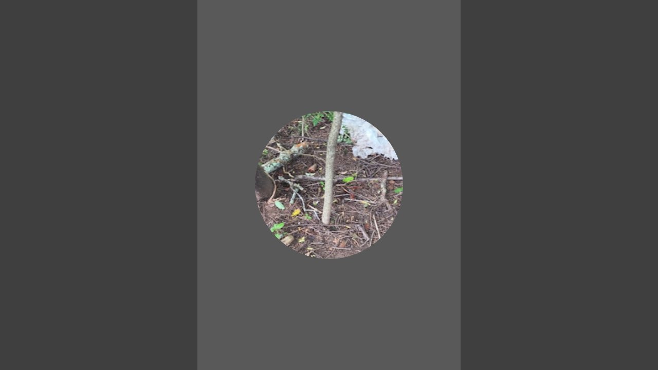 The Nutty Family Style is live!