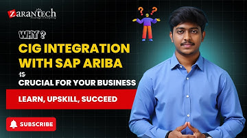 Why CIG Integration with SAP Ariba Is Crucial For Your Business | ZaranTech