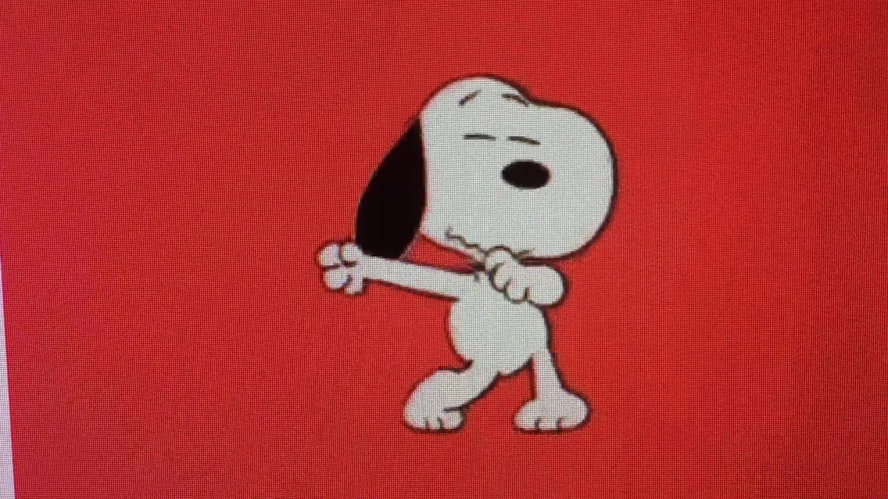 Snoopy dance YouTube