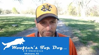 Off Leash Bull Terrier ,Olive.