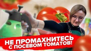 ПРОСТОЙ ПОСЕВ ТОМАТОВ! Как сеять томаты и не пересаживать?