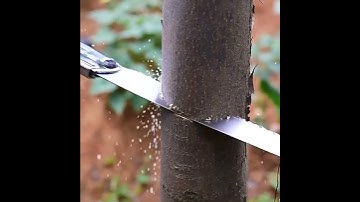 Cưa gỗ cầm tay cao cấp DAEGUN Hàn Quốc, cưa cành cán xếp, cưa gấp gọn thép SK5 siêu bền