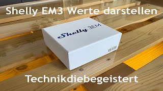 Shelly 3Em Darstellung Von Messwerten