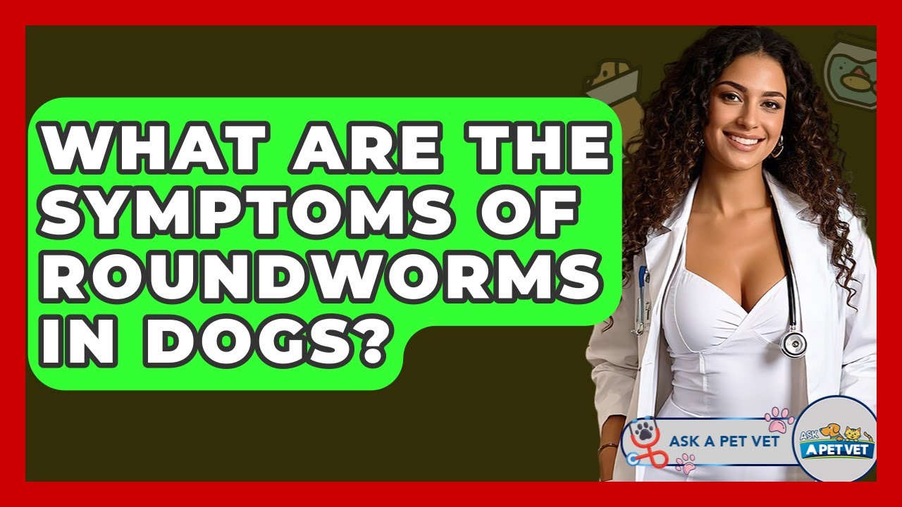 What Are The Symptoms Of Roundworms In Dogs? - Ask A Pet Vet