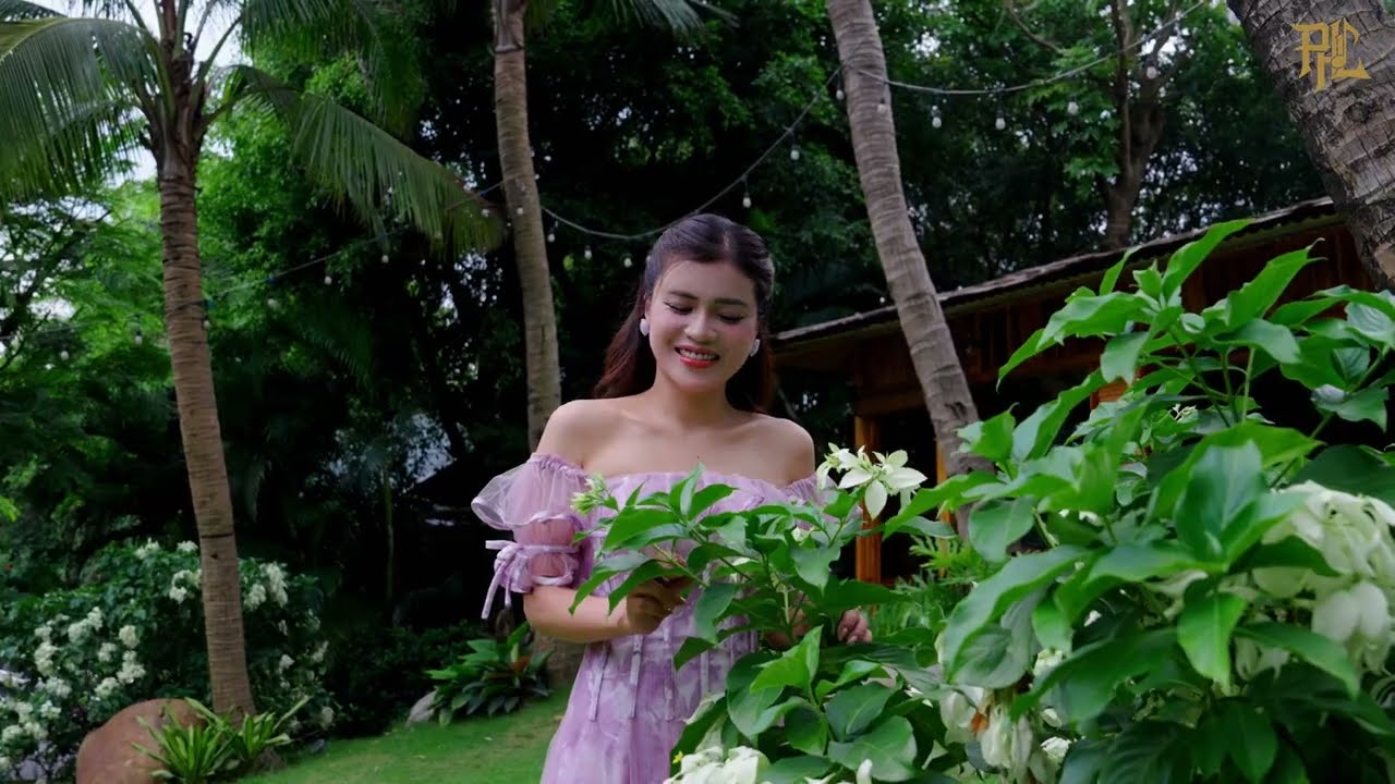 LK Rumba Hải Ngoại Qua Ngõ Nhà Em - Phan Hải Lý, Nguyên Linh