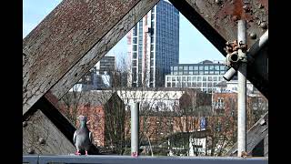 Caslefield Viaduct Manchester slideshow 4thApril 2023