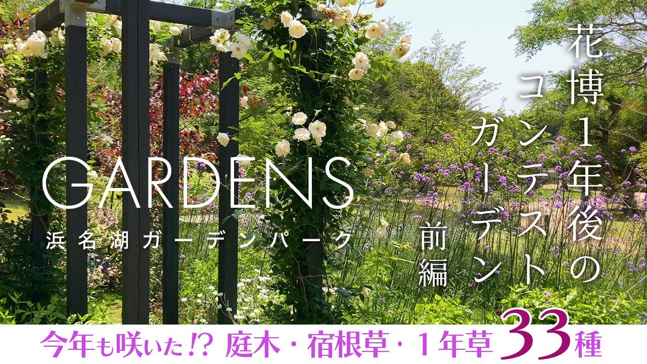 奇跡的に残ったGARDENSさんのお庭！ひっそり咲き誇る花景色を解説付きでお届けします。一年後のコンテストガーデンのレア映像は花好き必見！＠浜名湖ガーデンパーク【CC字幕付き】
