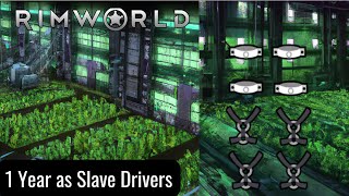 Can i survive one year as a Slave driver in RIMWORLD