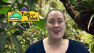NGRL | Summer Reading Challenge 2021 Promotional Video