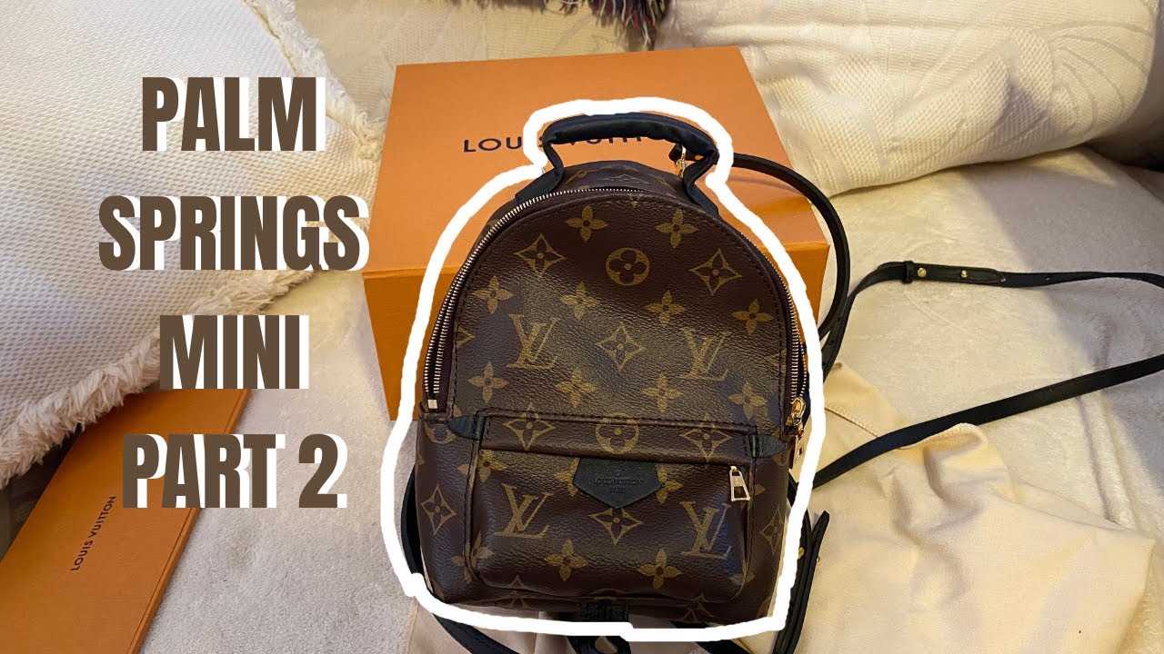 MY ENTIRE LOUIS VUITTON BACKPACK COLLECTION! LV PALM SPRINGS MINI