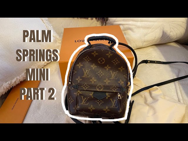 LV Palm Springs MINI BACKPACK - POSITIVES, NEGATIVES, WHAT FITS!! 