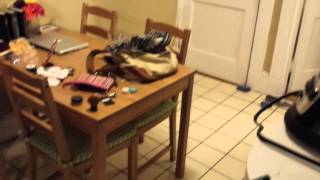 2 Bed Split 1 Bath (The Fenway) | Realty Lords | Apartment Rentals | 719