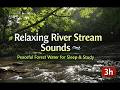 🌿 Relaxing River Stream Sounds 🌊 | Forest Creek Ambience for Deep Sleep, Meditation &amp; Study