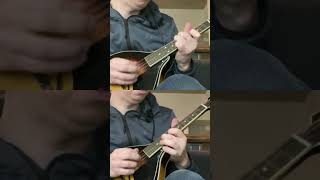 Mysterious Mandolin guitarsolo