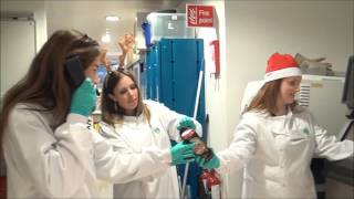 UCD Conway Institute Christmas Mannequin Challenge