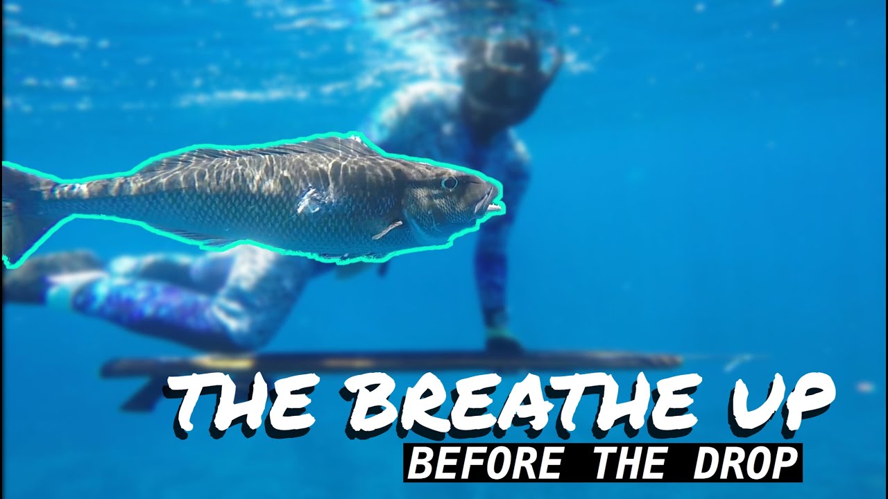 The Breathe Up. The Beginning Of Venture Wetsuits Hawaii Spearfishing