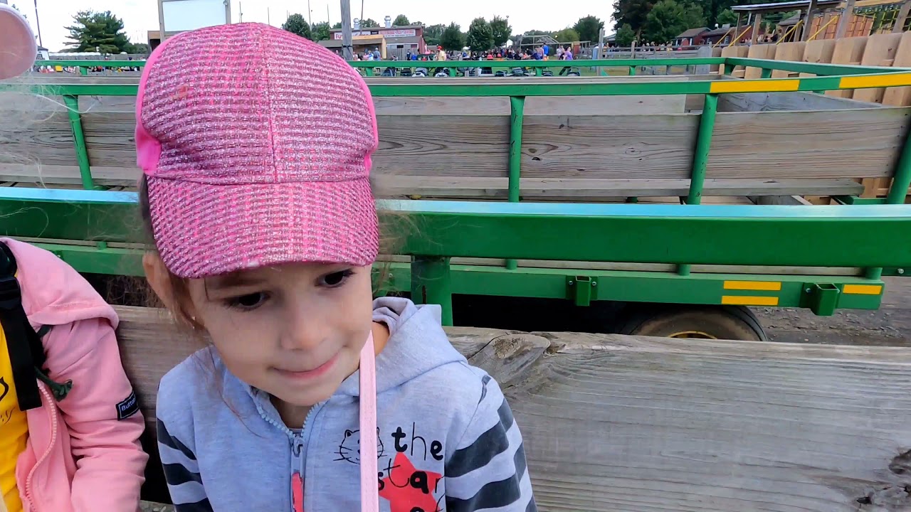 Поездка на ферму Shady brook farm