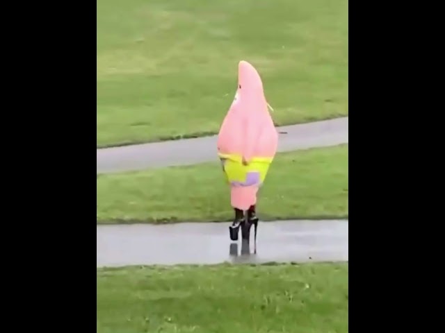 Stan Twitter Patrick Star Walking In Heels Youtube