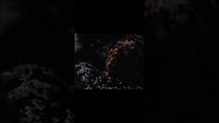 watch out!, there's blood everywhere 😨#readyornot2#samaraweaving #thriller#movie #shorts