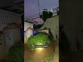 Thirsty Elephant Raids Water Tank At Temple