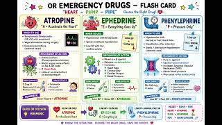 OR Emergency Drugs Made Easy | Atropine vs Ephedrine vs Phenylephrine Flash Card 💉🫀