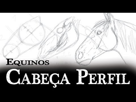 Vídeo: Como Desenhar A Cabeça De Um Cavalo