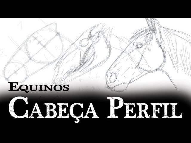 Como Desenhar Animais: Cavalos, Anatomia e Poses