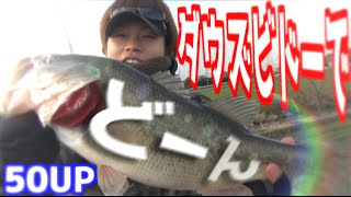 ダウズビドーで５０UPドーン！！　バス釣り
