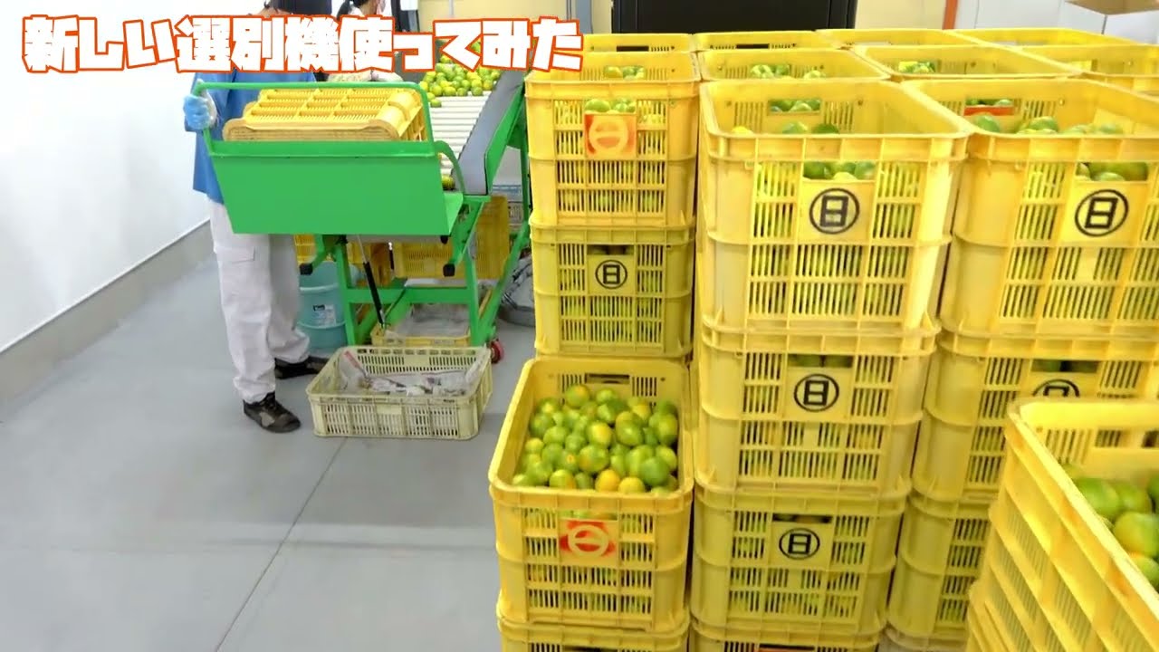 新しい選別機使ってみた