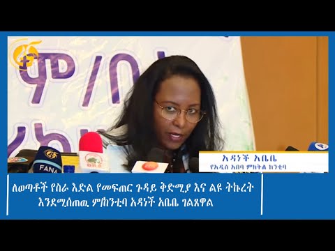 ለወጣቶች የስራ እድል የመፍጠር ጉዳይ ቅድሚያ እና ልዩ ትኩረት እንደሚሰጠዉ ም/ከንቲባ አዳነች አቤቤ ገልጸዋል
