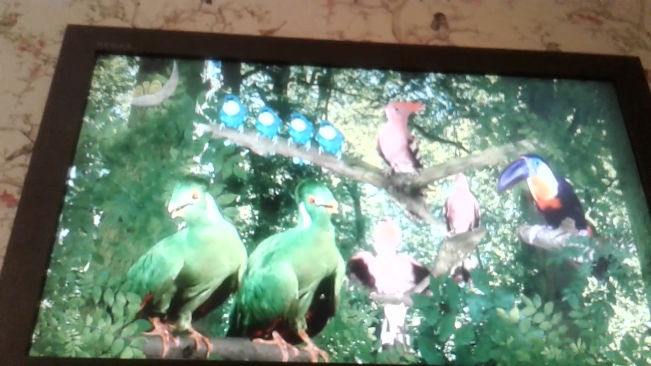 In the night garden birds song - YouTube