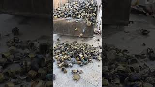 -Proof Warm Insoles Hiking Shoes