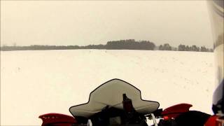 coyote 2 12 2014