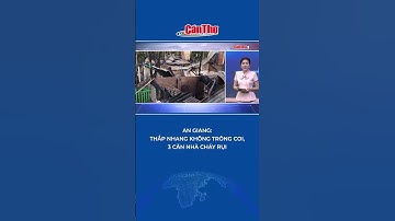 An Giang: Thắp nhang không trông coi, 3 căn nhà cháy rụi #shorts | Cần Thơ