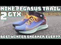 NIKE PEGASUS TRAIL 2 GORE-TEX REVIEW - On feet, comfort, weight, breathability, price review