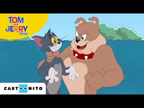 TOM VE JERRY | Gri Saç | Cartoonito Türkiye