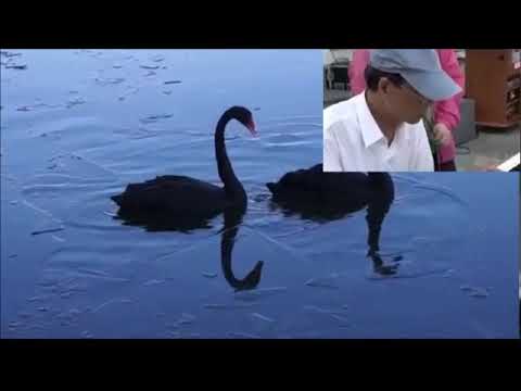 大田ブル一ス/李 成愛/Cover byすずめ十四妹/池老師伴奏