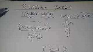 Jinsi ya kumfikisha mwanamke kileleni kwa njia rahisi kabisa