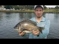 HOW to CATCH BREAM on BAIT fishing with WORMS - Basic fishing tips for beginners