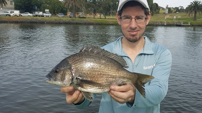 How To Catch Bream  Welcome To Fishing 