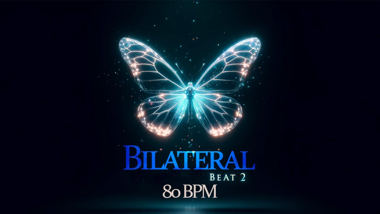邦楽 BUTTERFLY EFFECT2:INSOMNIA souljuice 邦楽 BUTTERFLY EFFECT2