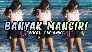 BANYAK MANGIRI TUKANG REMIX PARTY SENTAK X DISTAN TERBARU 2025 #trending #laguviral #laguviral2025 