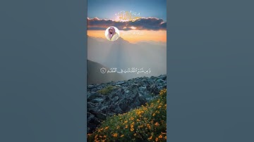 الشيخ ماهر المعيقلي #قرآن #اكسبلور #explore #قران_راحة_نفسية #قران_كريم #سورة_الفلق