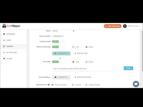 How to Setup Voicemail - CallHippo