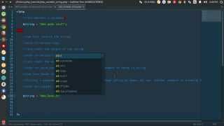 PHP Variable and String Manipulations for Beginners
