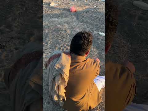 محمد علي الحوثي يخطط كيف يواجه غضب الشعب | محمد الحاوري