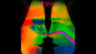 Tensnake feat. Thabo - Pressure