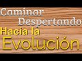 EVOLUCIÓN HUMANA  Nuestro largo camino hacia la Perfección.