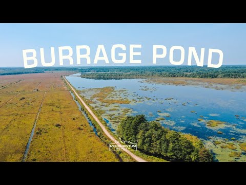 Explore the South Shore - BURRAGE POND | HANSON, MA