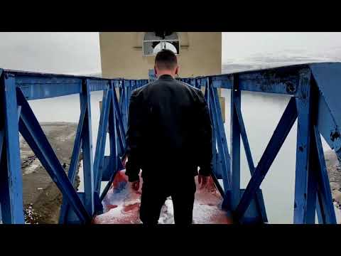 პროექტი საიდუმლო/project secret